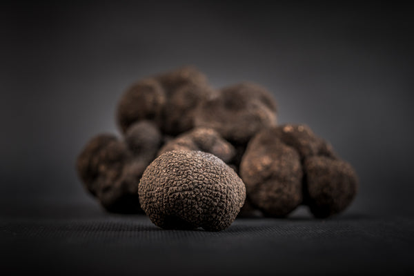 Truffes blanches fraîches Tuber Magnatum Taille énorme