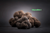 Truffes d’hiver Tuber melanosporum entières