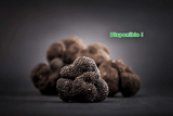 Truffes d’hiver Tuber melanosporum entières