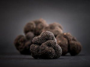 Truffes noires d'Australie Tuber melanosporum en morceaux